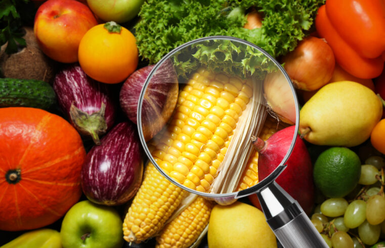 MONTES CLAROS | Vereadores aprovam políticas de inovação e segurança alimentar