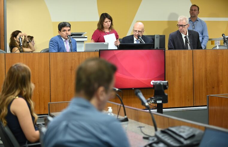 Projeto em análise na ALMG garante direito a sepultamento digno em casos de perda gestacional