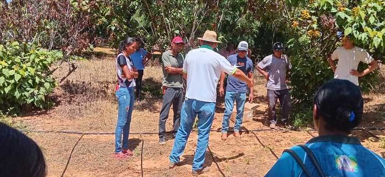 Kits irrigação doados pelo Idene vão impulsionar a produção de hortaliças em Verdelândia