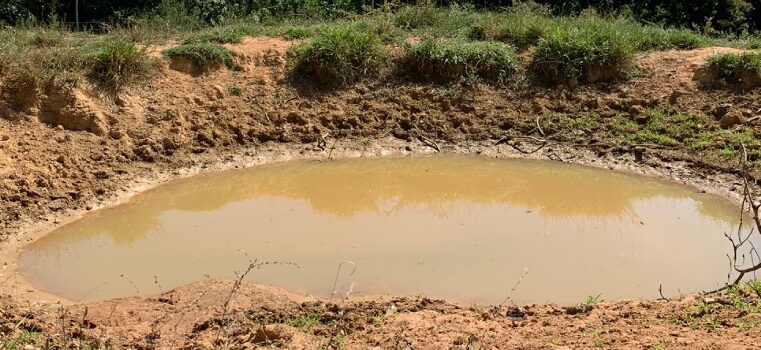 Minas Gerais consolida protagonismo nacional com novo Programa Produtor de Água