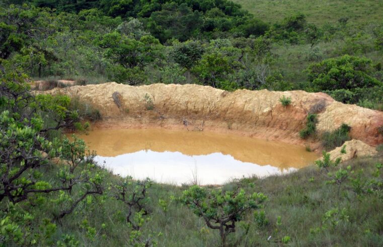 Vitrines de barraginhas têm convênios assinados