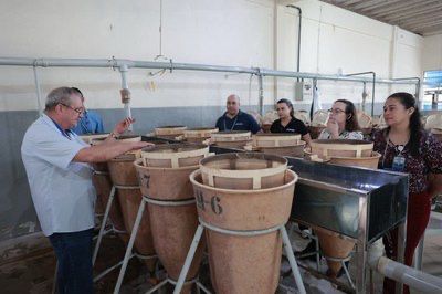 Codevasf amplia capacitação técnica e fortalece programas de reprodução induzida de peixes nativos no país