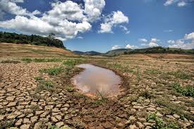 Sindicato Rural pede derrubada de veto que prejudica afetados pela seca