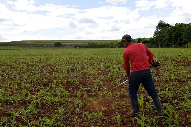 Nova lei em Minas Gerais fortalece formação continuada de agricultores familiares e incentiva práticas sustentáveis