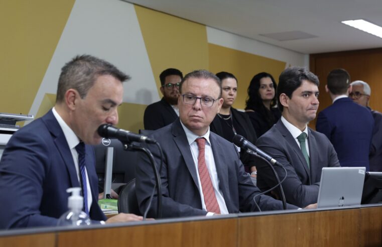 Concessão de Terras Públicas a Empresa Estrangeira avança na ALMG e já pode ser votada em 2º Turno
