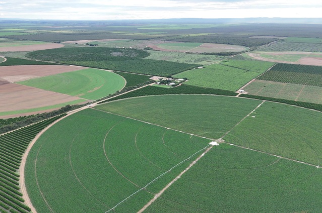 EXPANSÃO DA IRRIGAÇÃO NO NORTE DE MINAS | Codevasf abre consulta pública para concessão das etapas III e IV do Projeto Jaíba