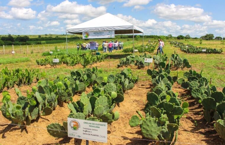Montes Claros recebe feira agropecuária com tecnologias voltadas ao semiárido