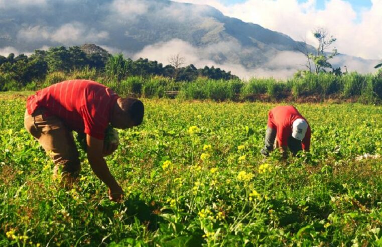 NORTE DE MINAS | Sistema Faemg Senar abre inscrições para cursos gratuitos para produtores rurais