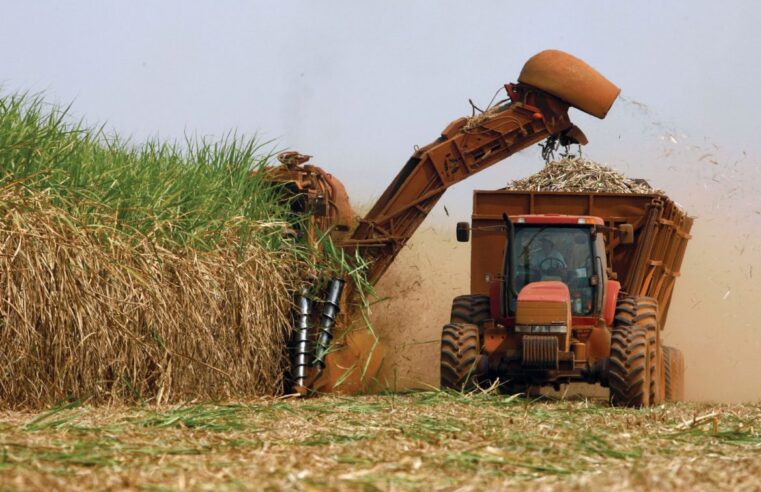 Conab aponta redução de 4,8% na produção de cana-de-açúcar da safra 2024/25 devido a condições climáticas adversas