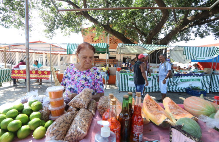 Projeto criado pela Credinor e Prefeitura de Lontra ganha Prêmio BDMG de Empreendedorismo Social