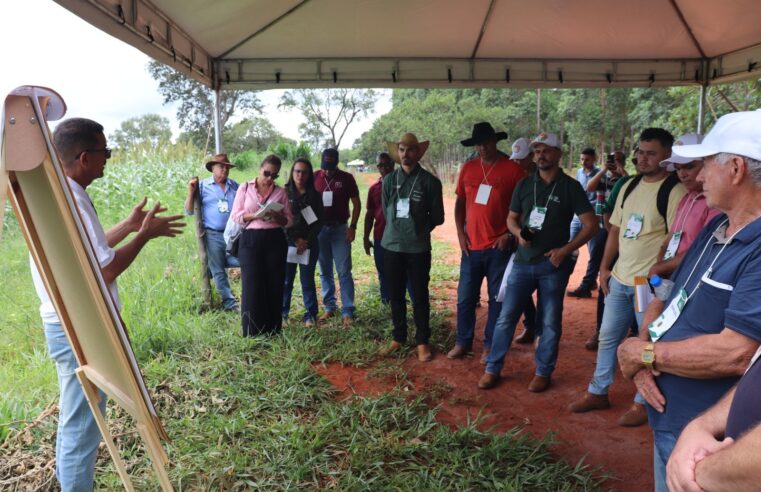 Sindicato Rural promove Dia de Campo sobre forrageiras resistentes à seca