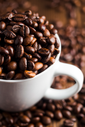 Safra recorde de café em 2026 reforça importância do manejo eficiente nas lavouras brasileiras