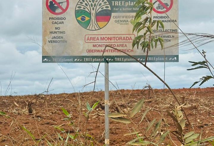 Grilagem do carbono em terras do sertão norte mineiro pode está em curso