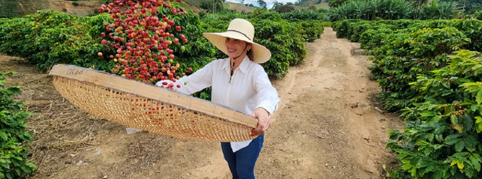 Exportações do agronegócio mineiro alcançam US$ 19,8 bilhões em 2025 e atingem novo recorde histórico