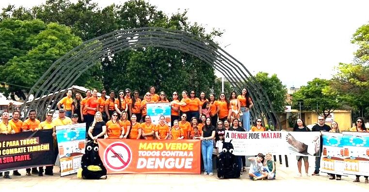 ARBOVIROSES | SES-MG mobiliza o Norte de Minas para mutirão contra o Aedes e vacinação contra a dengue