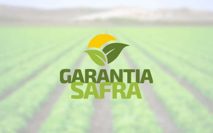 Agricultores de Botumirim começam a receber benefício do Garantia Safra 2024/2025