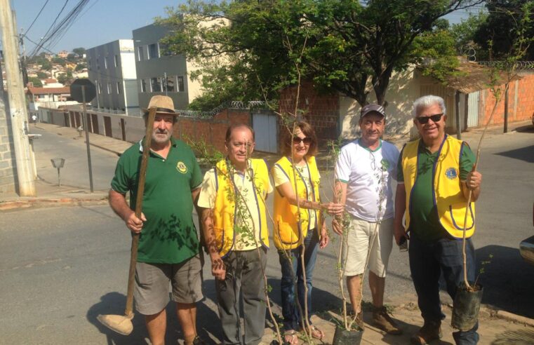 Lions Clube Montes Claros Sertanejo celebra o Dia da Árvore com distribuição de mudas e conscientização ambiental