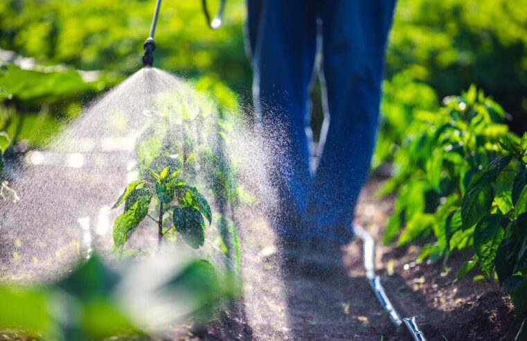 Unidades de agricultura familiar que integram programa ambiental já têm melhorias em indicadores como qualidade da água