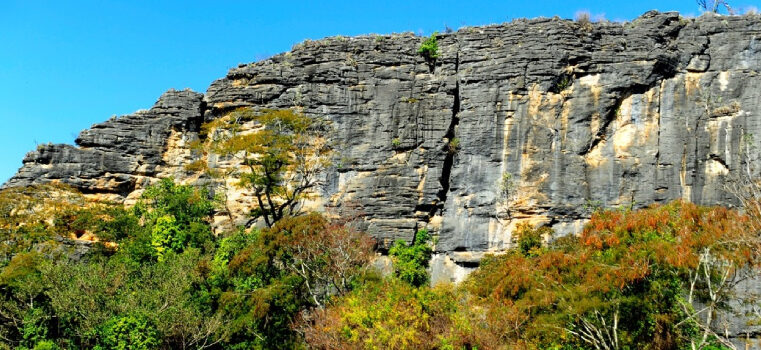 Desmatamento no Cerrado de Minas Gerais cai 34% e estado supera média nacional na redução dos alertas