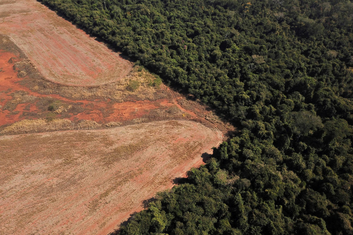 Desmatamento no Cerrado dispara 23% e índice na Amazônia cai 54% comparado a março de 2023