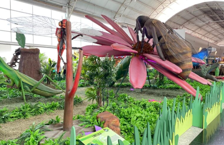 Natureza Gigante leva megainsetos e atrações interativas ao Montes Claros Shopping