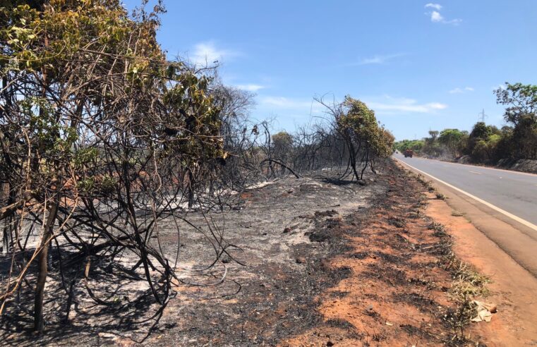 NÃO QUEIME O FILME – PROTEJA O CERRADO | Dia Nacional do Cerrado reforça importância da prevenção às queimadas em Montes Claros