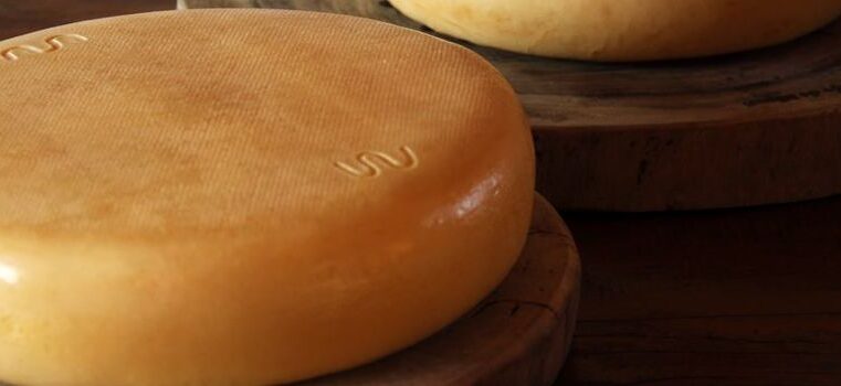 DIA MUNDIAL DO QUEIJO | Atuação do IMA garante procedência, segurança e valor à iguaria mineira