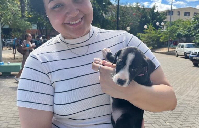 Feira de Adoção reforça importância do bem-estar animal em Montes Claros