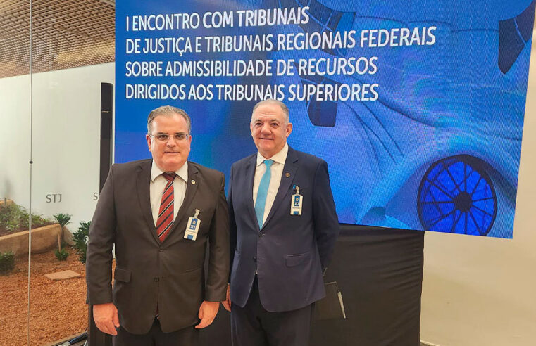 1ª e 3ª Vice-Presidências do TJMG participam de evento no STJ