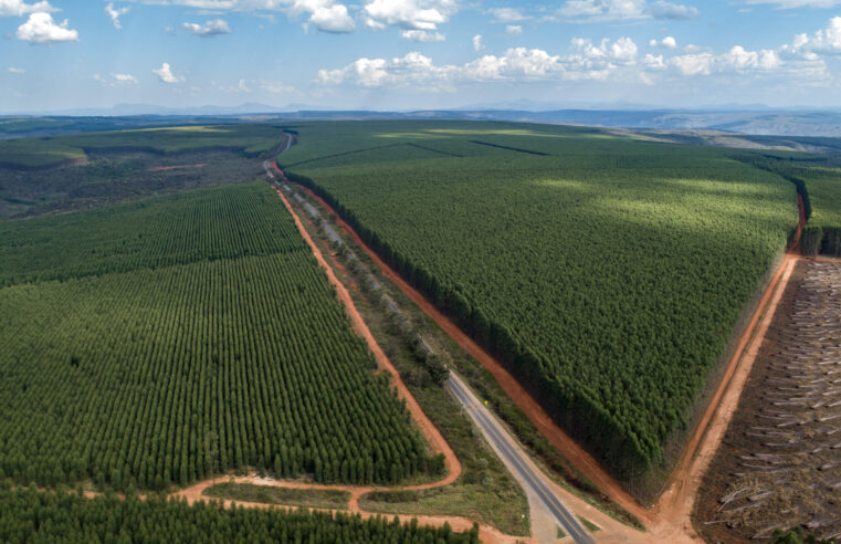 Aprovado novo marco do licenciamento ambiental e Sociedade Rural de Montes Claros comemora avanço para o setor produtivo