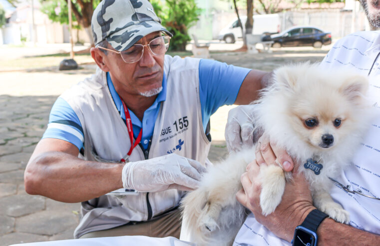Prefeitura de Pirapora promove Campanha de Vacinação Antirrábica Animal