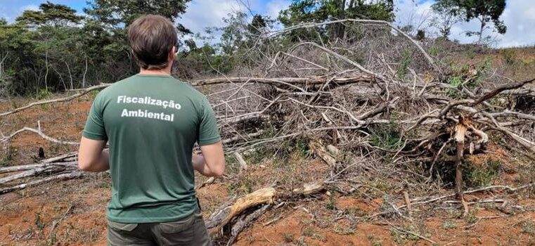 Semad convida municípios do Norte de Minas para combate ao desmatamento