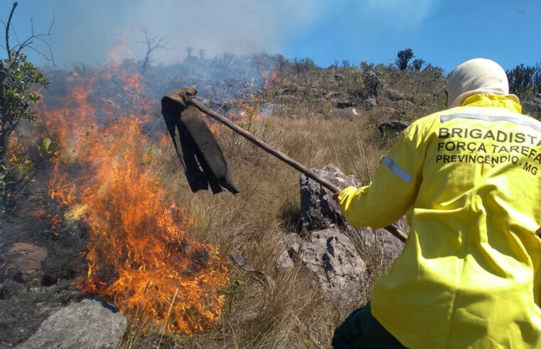 Trabalho de prevenção e combate a incêndios florestais são destaque da Semana Florestal
