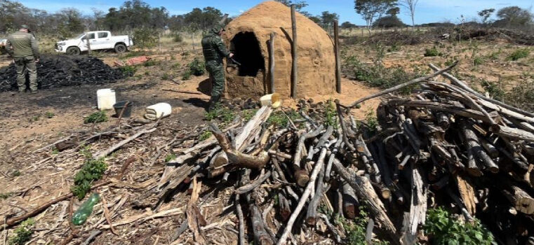 Operação Divisa combate comércio ilegal de carvão vegetal