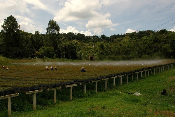 Igam orienta produtores rurais para gestão de recursos hídricos no Norte de Minas