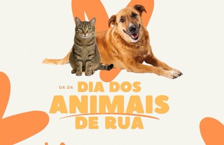 Dia dos Animais de Rua reforça conscientização e combate aos maus-tratos em Montes Claros