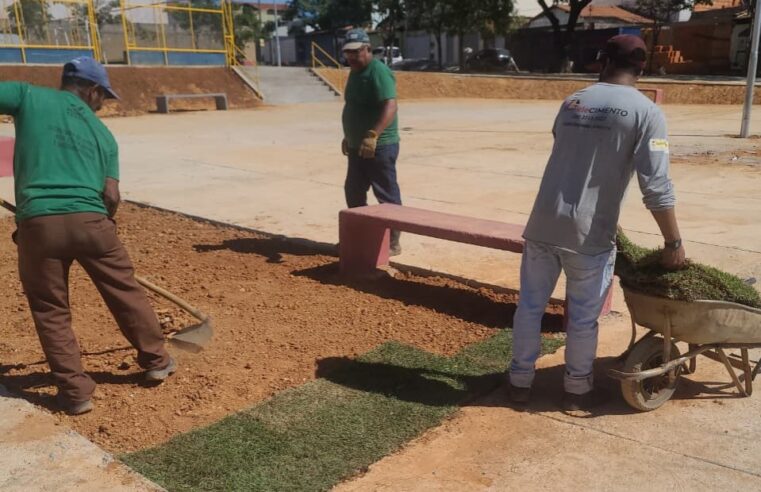 MONTES CLAROS SUSTENTÁVEL | Cidade semeia futuro e reduz calor com revolução verde urbana