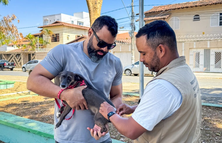 Após morcego infectado, Prefeitura reforça vacinação contra a raiva em bairros da região sul de Montes Claros