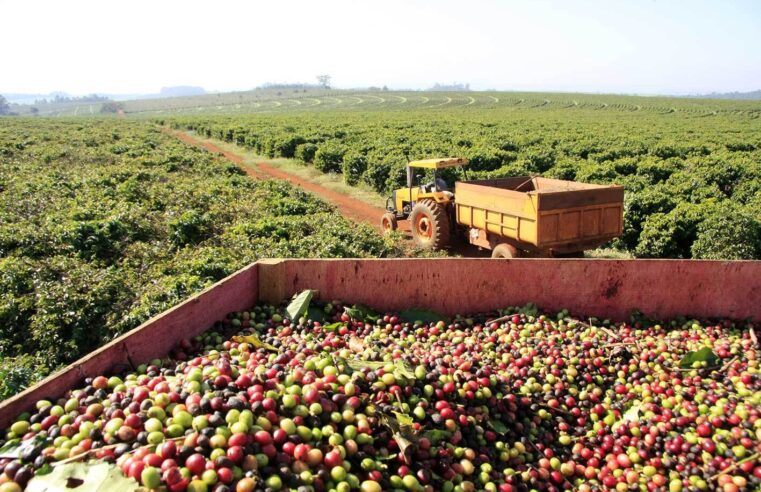 50 ANOS DA EPAMIG | Governo de Minas destaca desenvolvimento de pesquisas para o fortalecimento da agropecuária