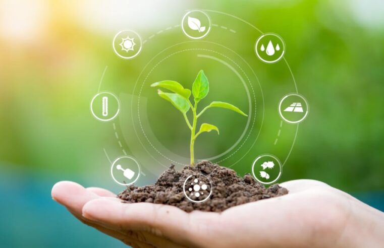 Sebrae Minas apresenta Relatório de Sustentabilidade 2024 e reforça compromisso social