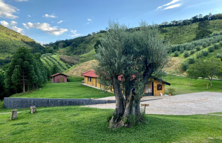 Descubra a Serra da Mantiqueira nas férias com visita guiada à fazenda do Azeite Sabiá