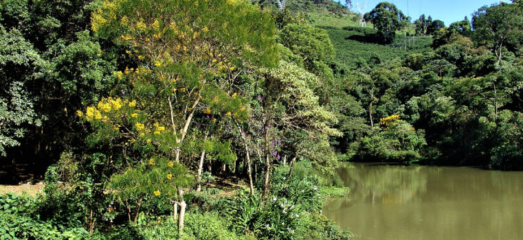 Unidades Regionais da Feam alcançam 100% de cumprimento nos prazos de análise de processos de licenciamento ambiental em 2024