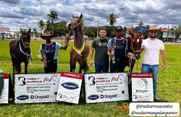 Montes Claros sedia a I Exposição Especializada do Mangalarga Marchador do Norte de Minas
