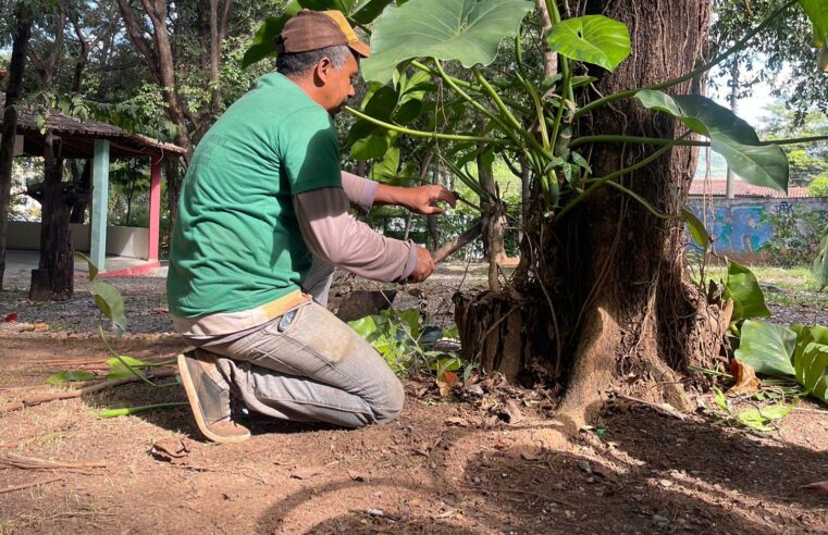 Mais vida: Parque Milton Prates passa por manutenção e reforça bem-estar em Montes Claros