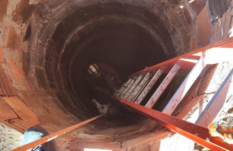 JANUÁRIA | Bombeiros resgatam cachorro de cisterna de 8 metros