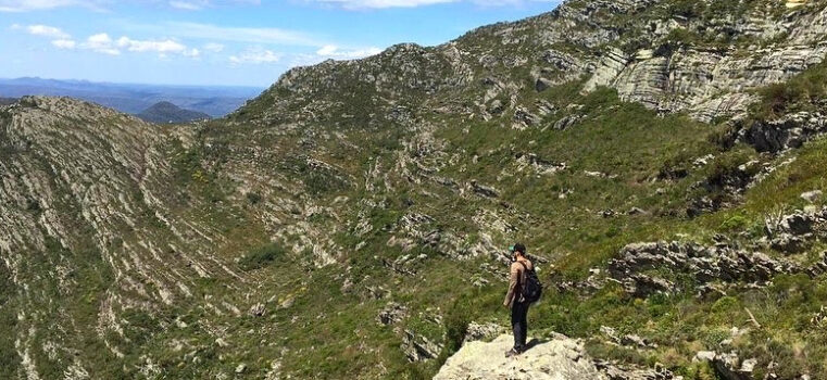 Instituto Estadual de Florestas participa de descoberta de nova espécie da flora brasileira no Norte de Minas