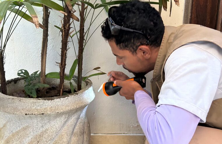 Guerra ao Mosquito: Operação retira 13 toneladas de inservíveis e combate focos no Alto São João