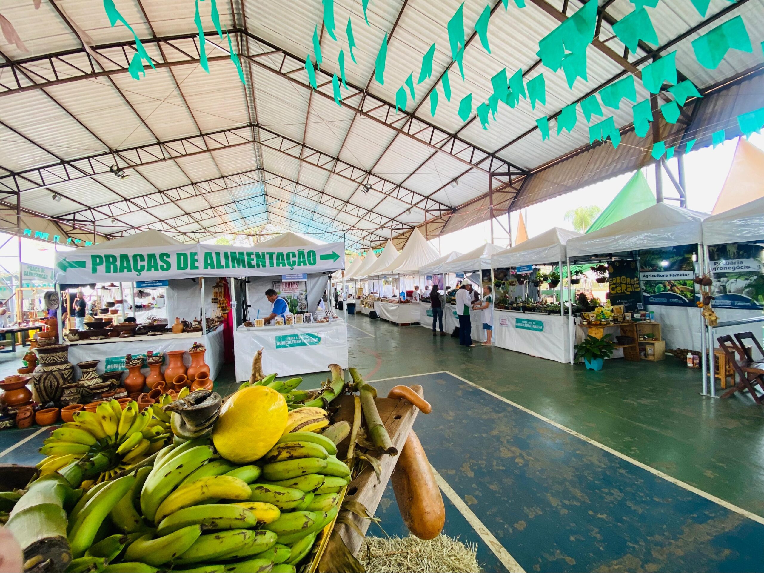 Feira da Agricultura Familiar é destaque na Expomontes