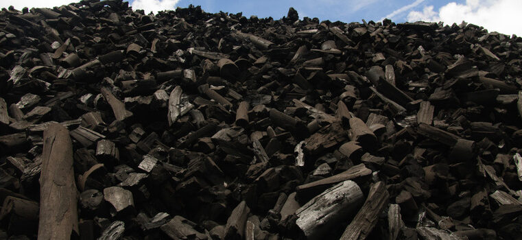 Secretaria de Estado de Agricultura passa a divulgar o preço do carvão vegetal em Minas Gerais