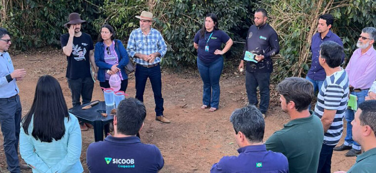 BDMG abre inscrições para capacitação gratuita em agricultura regenerativa com foco em pecuária bovina e pastagens